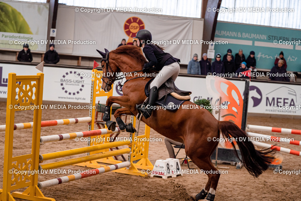 Kranichstein Tag 3-290 | dv-media-shop - Realisiert mit Pictrs.com