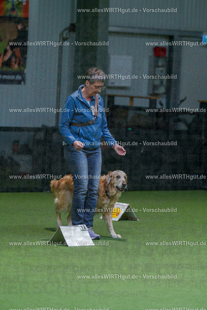 7R500742 | Professionelle Tierfotografie in Mönchengladbach von Daniel Wirth (allesWIRTHgut). Liebevolle & natürliche Bilder von Hunden & Katzen für unvergessliche Erinnerungen.