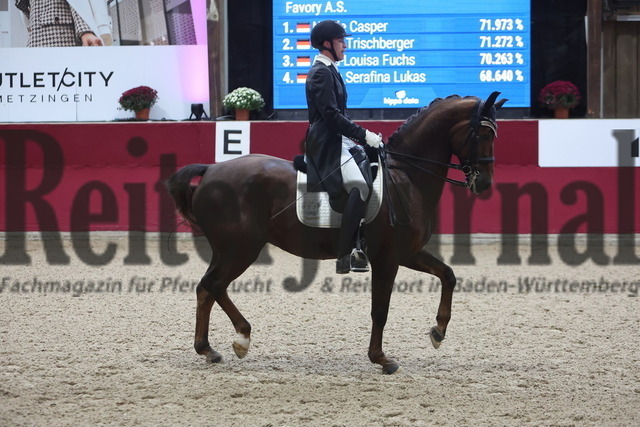 Reutlingen_2025_Prfg.Nr.02_Intermediaire II_Frederik Leon Steisslinger_Favory A.S (17) | Alle Fotos der Reiterjournal Fotografin Doris Matthaes im Reiterjournal Online-Fotoshop. - Realisiert mit Pictrs.com