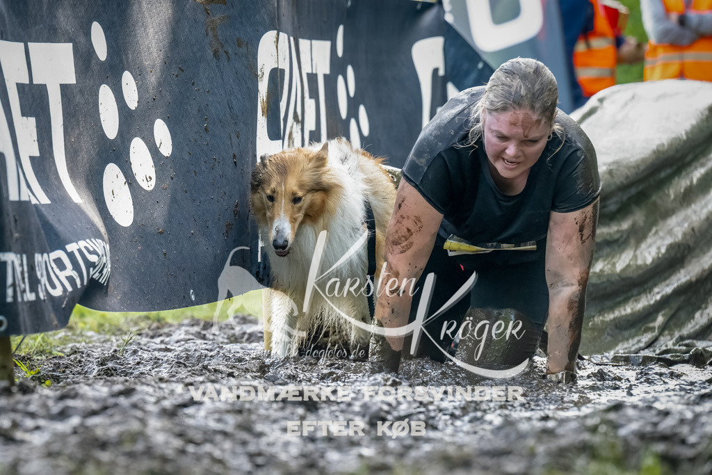 1113_ZZ93508-Bearbeitet | kk-dogfotos