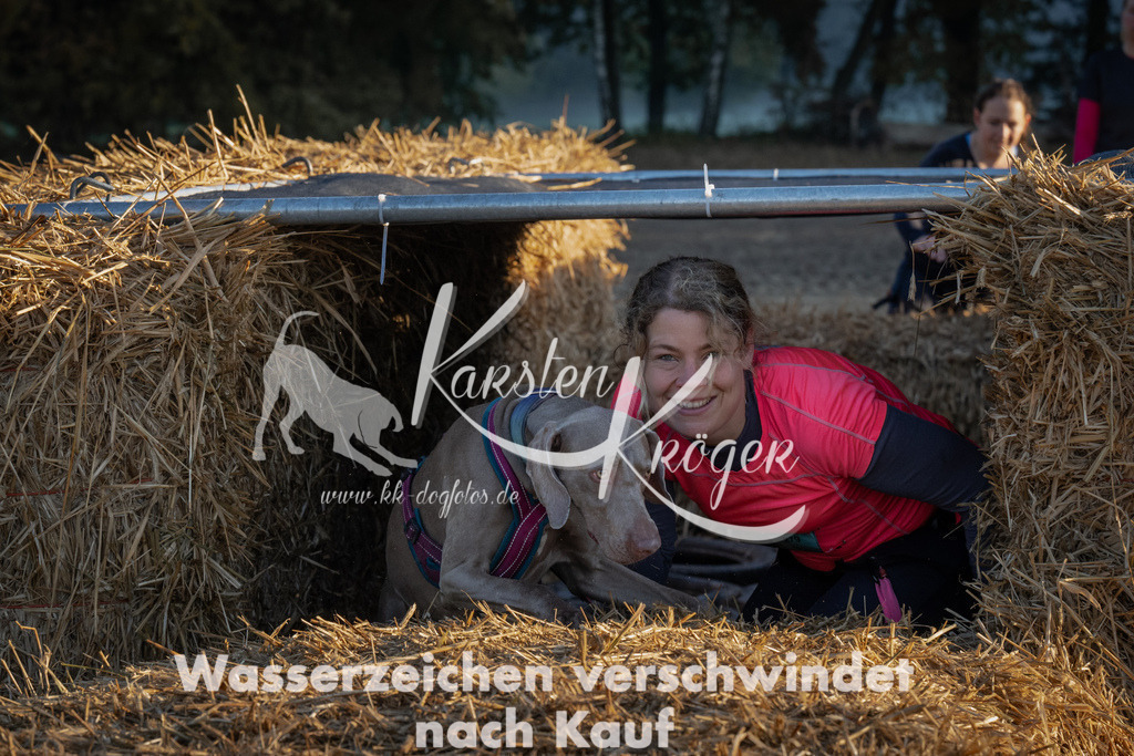 0907_ZZ91416 | kk-dogfotos