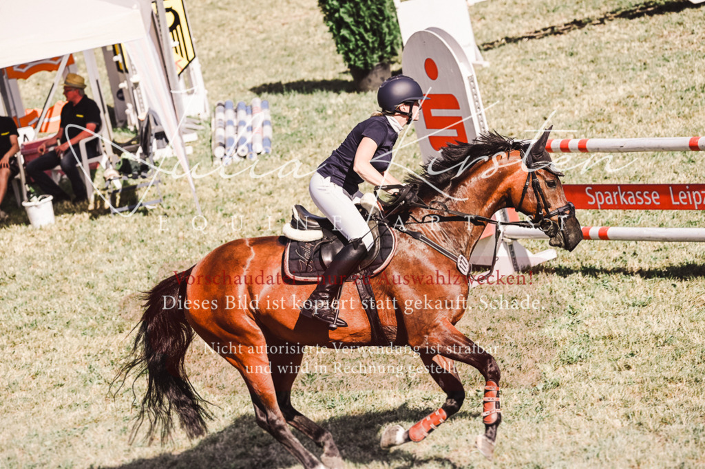 DSC_2122 | Pferde- und Turnierfotografie in Westsachsen. Pferdeportraits, Auftragszeichnungen und intuitive Kunst.