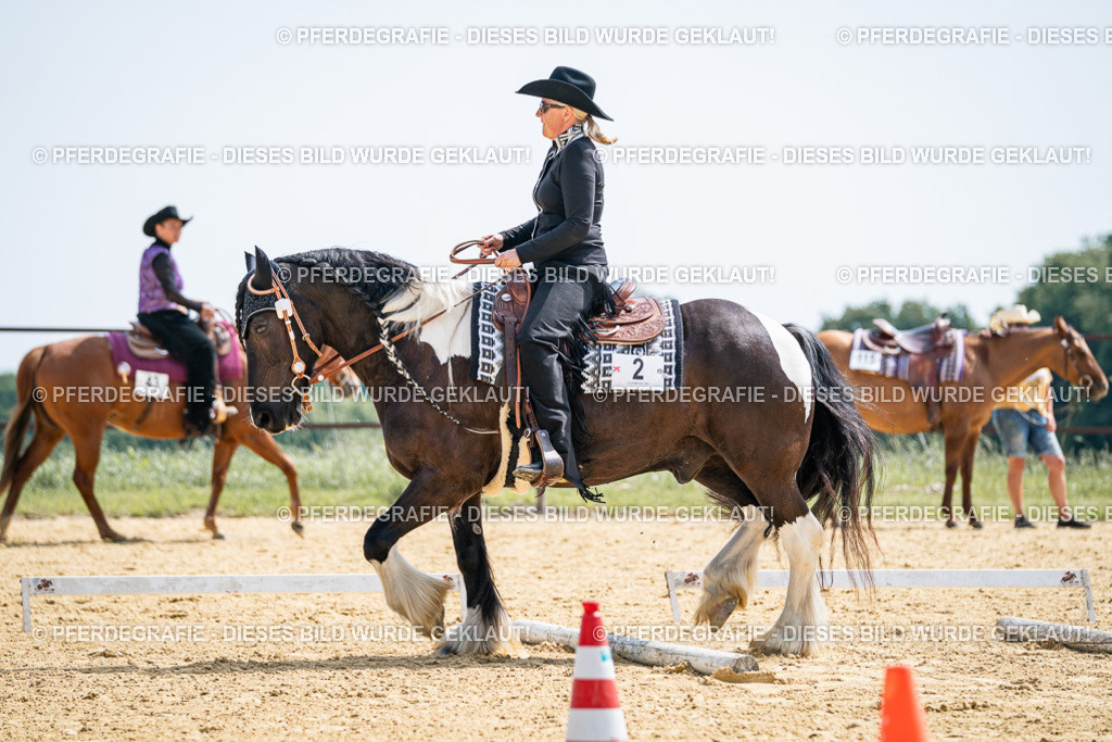 DSC00207 | Pferdegrafie