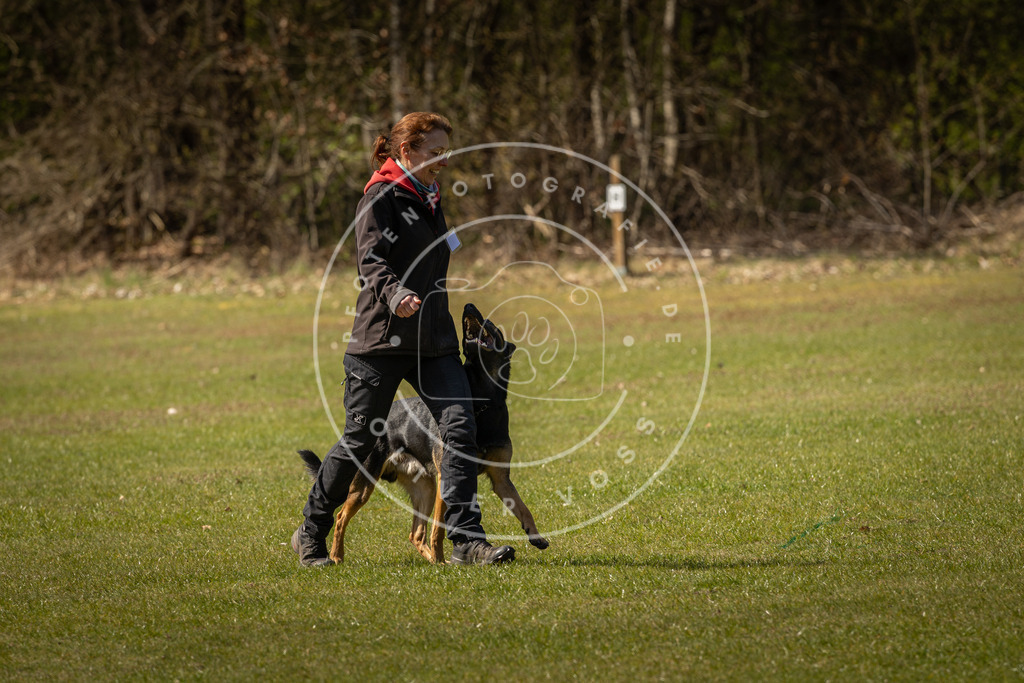 Pfotenfotografie_DV3A0938 | Hundefotografie, Tierfotograf, Pfotenfotografie, Fotoshooting Hund, Hunde Portrait, Hundesport, Hundeportraits, Heideshooting, Hunde, Sportfotograf, Hundefotograf, Turnierhundsport, THS,  - Realisiert mit Pictrs.com