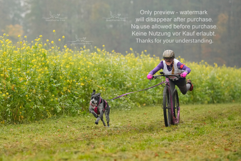 Visbeck_Sa_Scooter_Hc-35 | stephaniefillaphotographie - Realisiert mit Pictrs.com