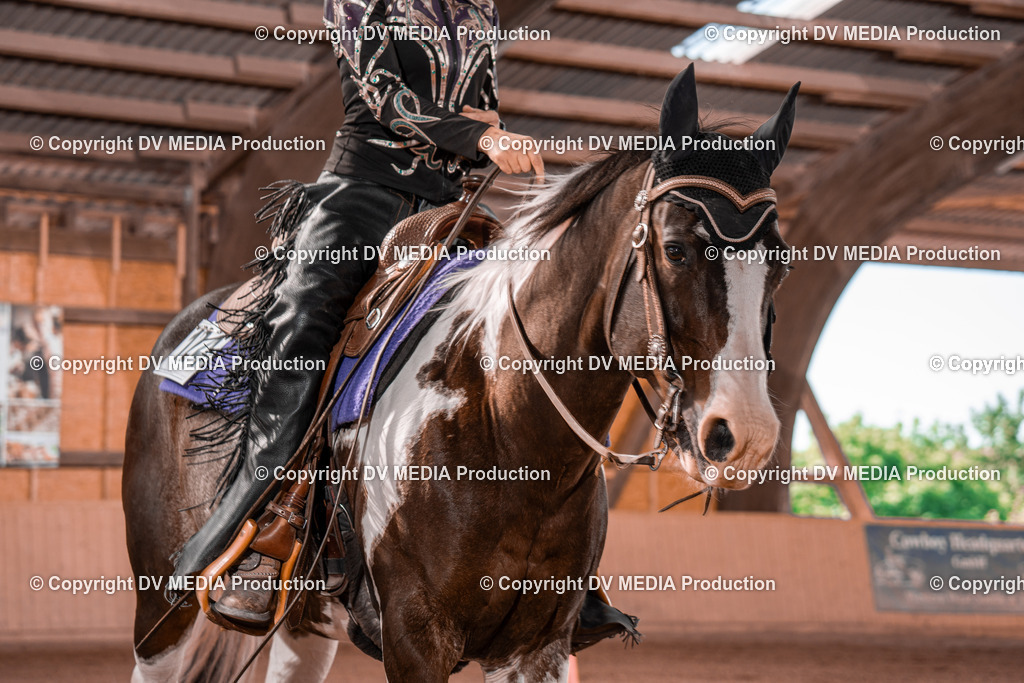 NE100233 | dv-media-shop - Realisiert mit Pictrs.com