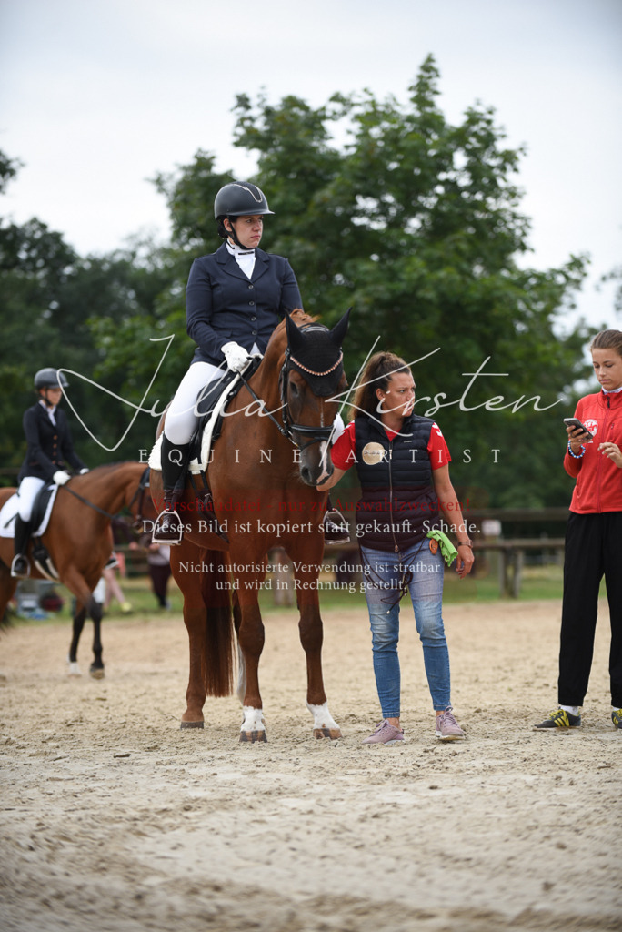 DSC_8324 | Pferde- und Turnierfotografie in Westsachsen. Pferdeportraits, Auftragszeichnungen und intuitive Kunst.