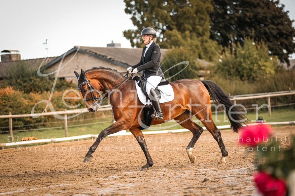 17.SoDrM00425 | Leoni Ertmer Photography - Realisiert mit Pictrs.com