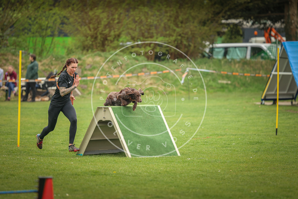 Pfotenfotografie_0L8A1674 | Hundefotografie, Tierfotograf, Pfotenfotografie, Fotoshooting Hund, Hunde Portrait, Hundesport, Hundeportraits, Heideshooting, Hunde, Sportfotograf, Hundefotograf, Turnierhundsport, THS,  - Realisiert mit Pictrs.com