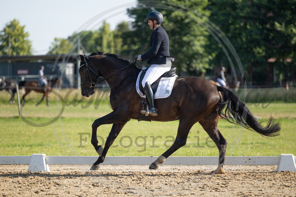 994A4058 | sabrinanicolaifotografie - Realisiert mit Pictrs.com