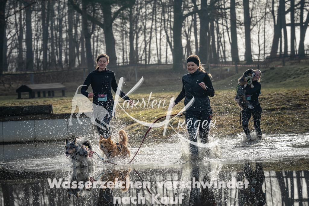 0931_ZZ92030 | kk-dogfotos
