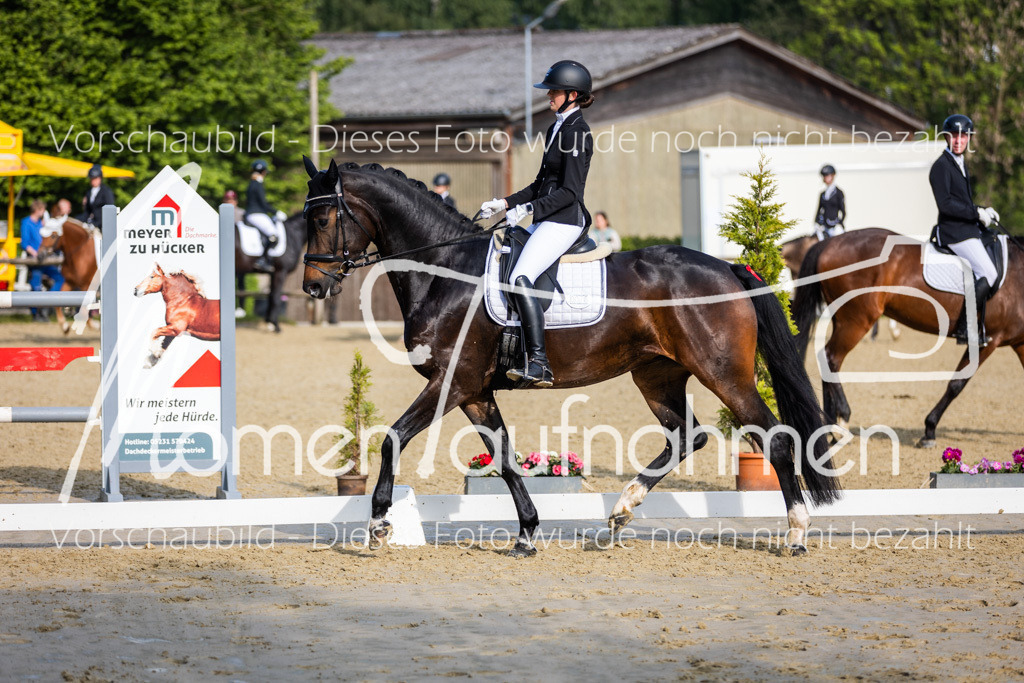 Donop24-A-Dre-060 | MomenTaufnahmen Pferdesportfotos