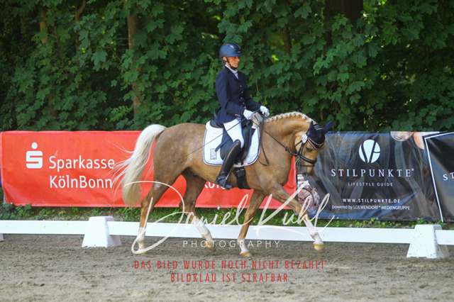 DKP42356 | Turniersportfotografie; Pferdefotografie; Dressurfotografie