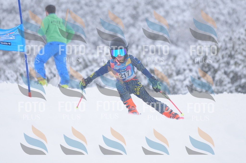 C2312 | holidayphoto