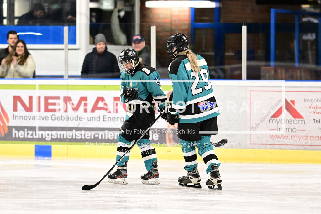 Eishockey I Frauen I Saison 2023-2024 I Testspiel I TuS Harsefeld Tigers - Crocodiles Hamburg I 05180 | Der Sportfotograf. - Realisiert mit Pictrs.com