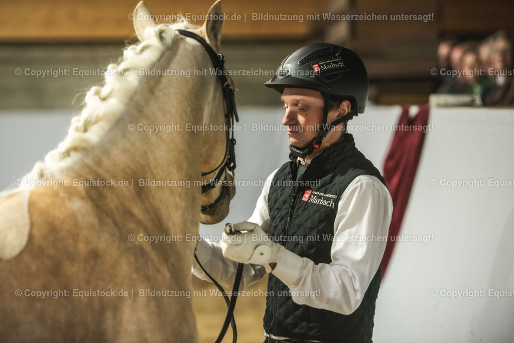 20240302_Hengstvorstellung_Marbach_TOMsPiC_0852 | equistock