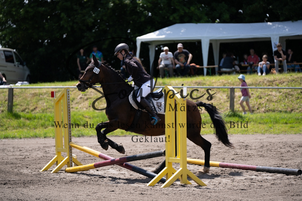 A7V04495 | Pferdefotograf