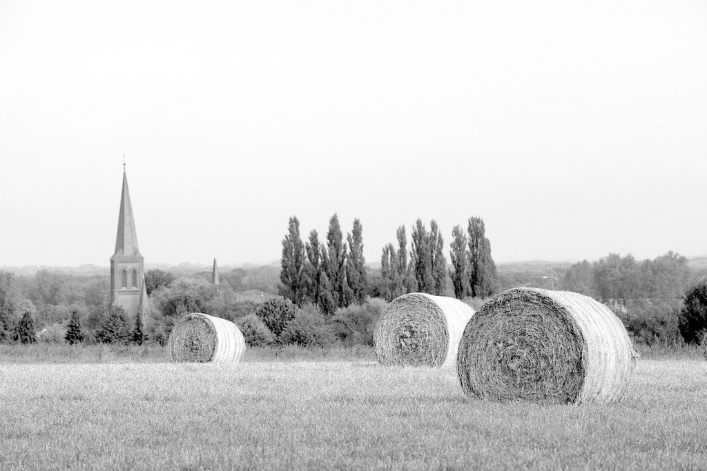 100929-050 | Europa, DEU, Deutschland, Nordrhein Westfalen, NRW, Rheinland, Niederrhein, Toenisberg, Schaephuysener Hoehen, Spaetsommer, Gruenlandflaeche, Wiese, Nach der Heuernte, Heuballen, Kirche, Kirchturm, Kategorien und Themen, Architektur, Architektonisch, Architekturstil, Bauwerk, Gebaeude, Historisch, Architekturfoto, Architekturphoto, Architekturfotografie, Architekturphotographie, Natur, Naturfoto, Naturfotos, Naturfotografie, Naturphoto, Naturphotographie, Landschaft, Landschaften, Landschaftsfoto, Landschaftsfotografie, Landschaftsphoto, Landschaftsphotographie

[Fuer die Nutzung gelten die jeweils gueltigen Allgemeinen Liefer-und Geschaeftsbedingungen. Nutzung nur gegen Verwendungsmeldung und Nachweis. Download der AGB unter http://www.image-box.com oder werden auf Anfrage zugesendet. Freigabe ist vorher erforderlich. Jede Nutzung des Fotos ist honorarpflichtig gemaess derzeit gueltiger MFM Liste - Kontakt, Uwe Schmid-Fotografie, Duisburg, Tel. (+49).2065.677997, 
archiv@image-box.com, www.image-box.com] - Realisiert mit Pictrs.com