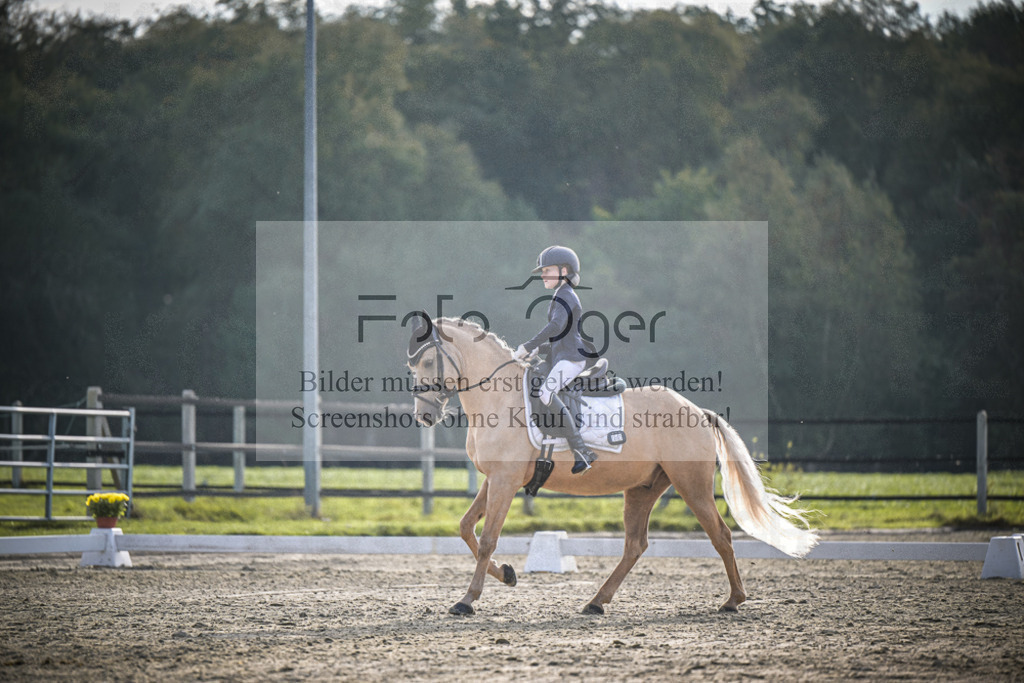DOS_4846 | Entdecke hochwertige Reitturnierfotos von Foto Oger. Professionell, emotional und authentisch – jetzt Lieblingsmomente im Shop bestellen.Deutschlandweite Turnierfotografie. - Realisiert mit Pictrs.com