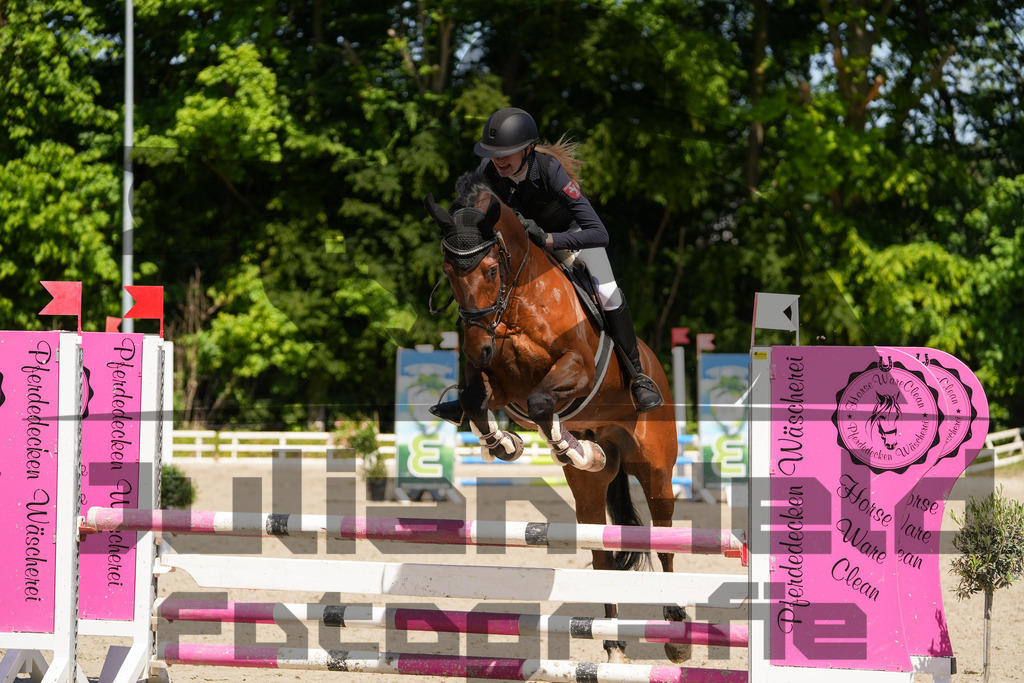 DSC02312 | Julian Held Fotografie - Realisiert mit Pictrs.com