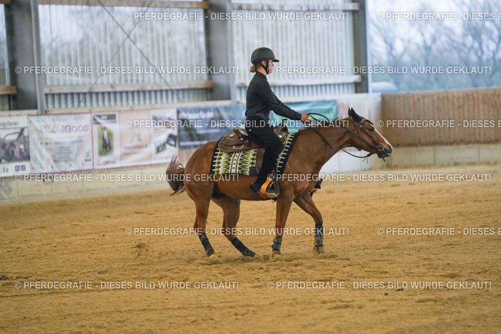 DSC09483 | Pferdegrafie