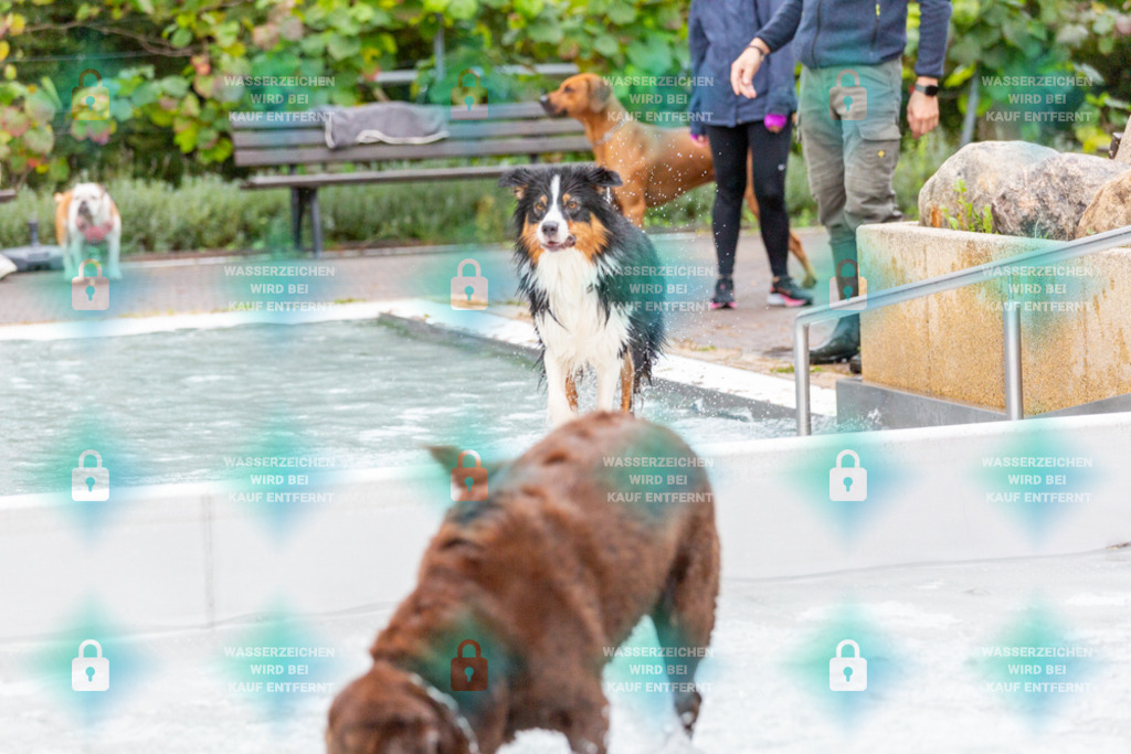 _HP_7392_1000o | HetPix, HetPix Fotodesign, Fotografie, Fotodesign, Webshop, Sportfotografie, Portraitfotografie, Onlineshop, Sportfotografie, Polch, Motorsportfotografie, Eventfotografie