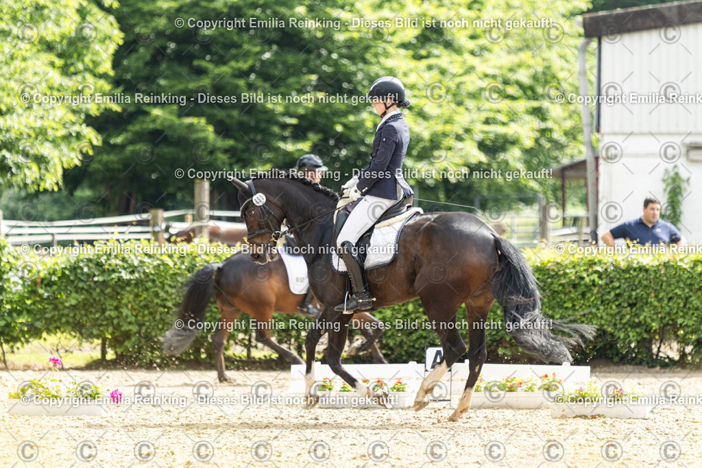 CL5A6058 | Emilia Reinking Fotografie - Realisiert mit Pictrs.com