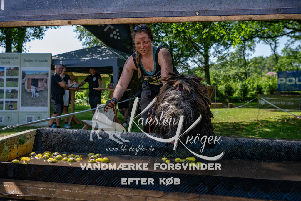 1306_ZZ90544 | kk-dogfotos