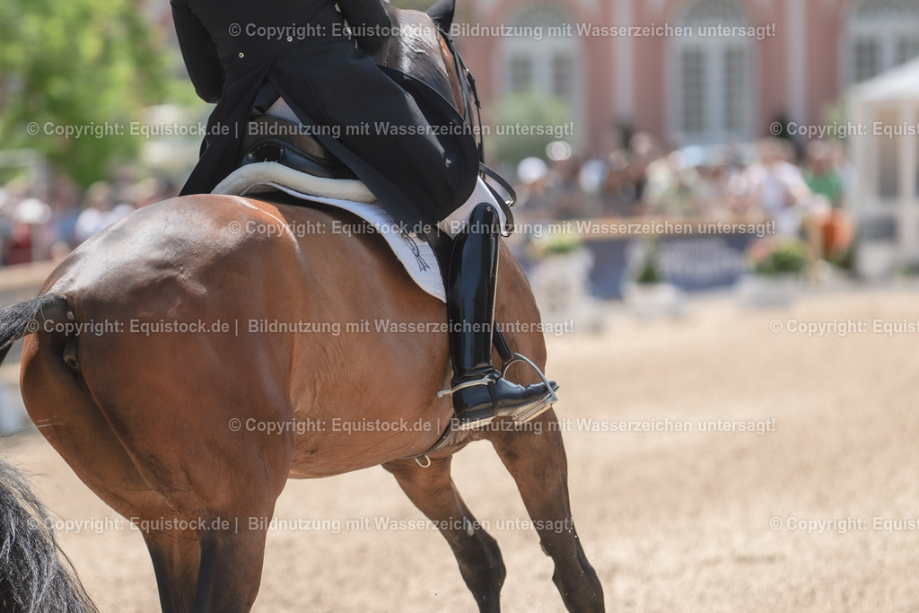 20230527_01_GP-Kür-Tour_0134 | equistock