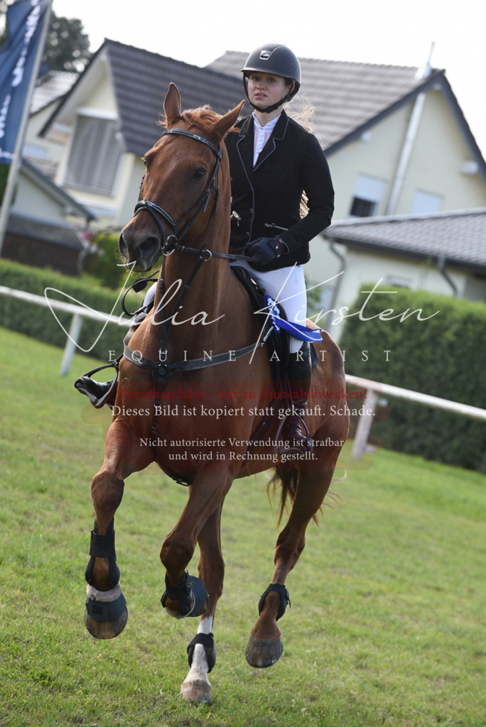 DSC_9028 | Pferde- und Turnierfotografie in Westsachsen. Pferdeportraits, Auftragszeichnungen und intuitive Kunst.