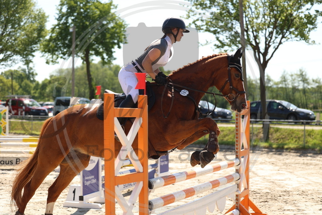 994A5622 | sabrinanicolaifotografie - Realisiert mit Pictrs.com