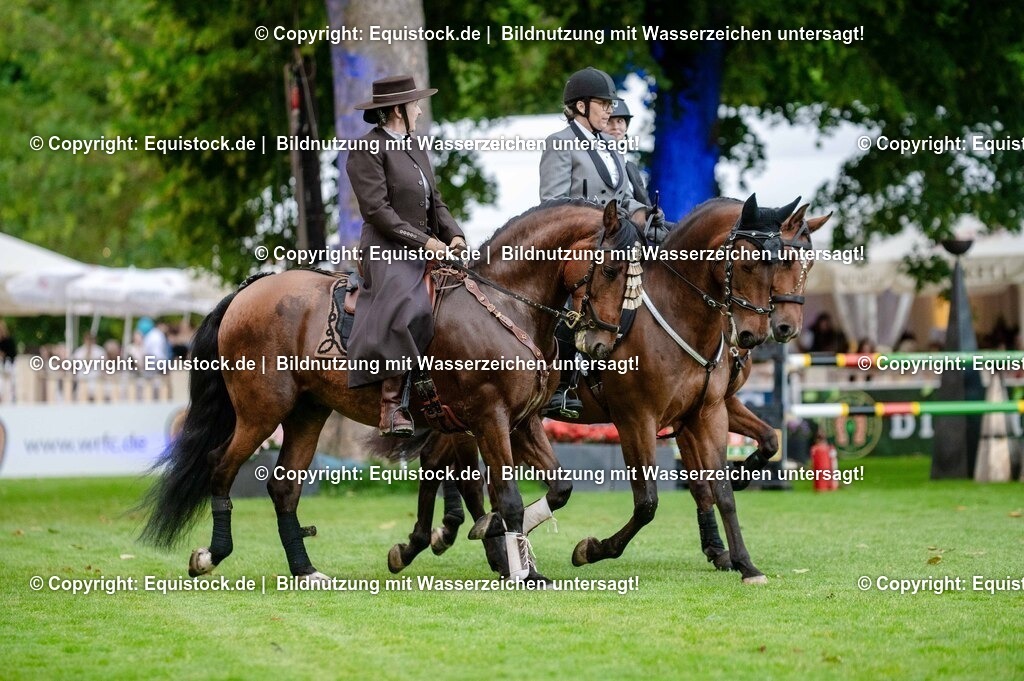 20250606_Lange-Pferdenacht_0618 | Foto: Thomas Hartig