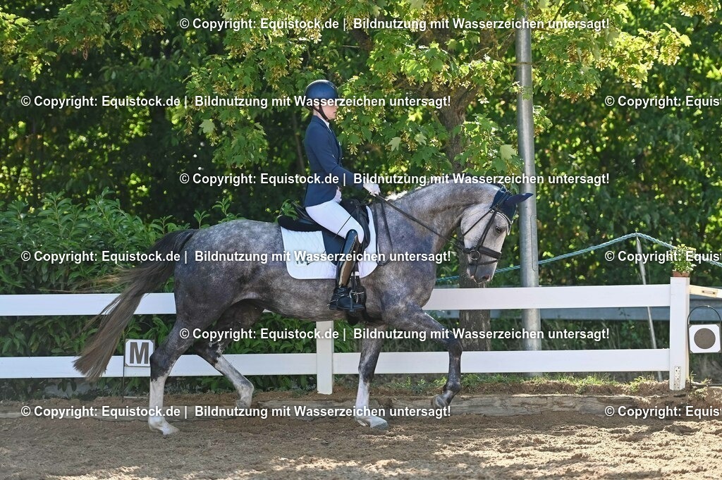 20230715_06_Dressurpferdeprfg. Kl.A_0300 | equistock