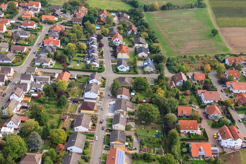 Luftbild: Im Mühlegarten von Westen in Eppelsheim im Bundesland Rheinland-Pfalz in Deutschland. Foto: IMG_21703.jpg vom 09.10.2009 durch Werner Riehm/FLY-FOTO.de
