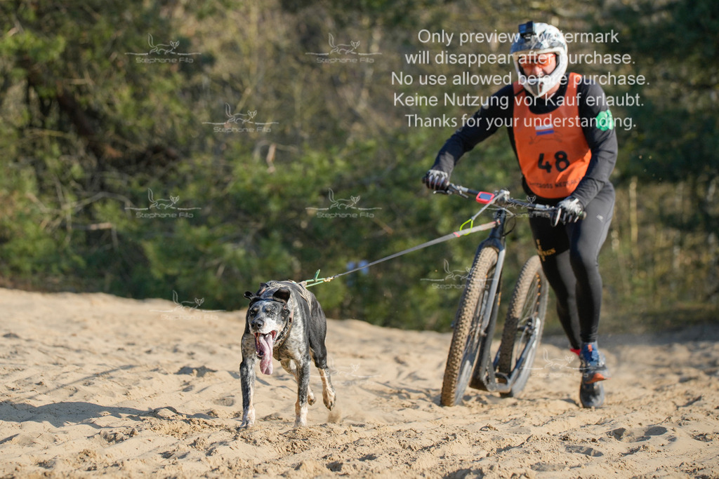 So_Scooter-303 | stephaniefillaphotographie - Realisiert mit Pictrs.com