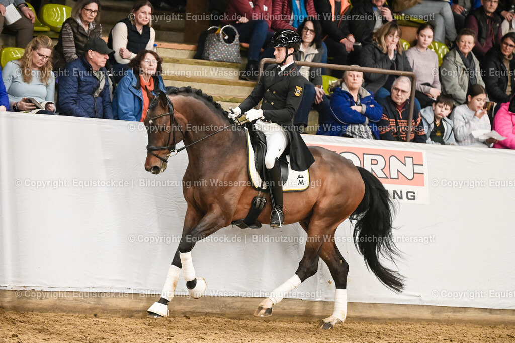 20260307_Hengstvorstellung-Marbach_0372 | equistock