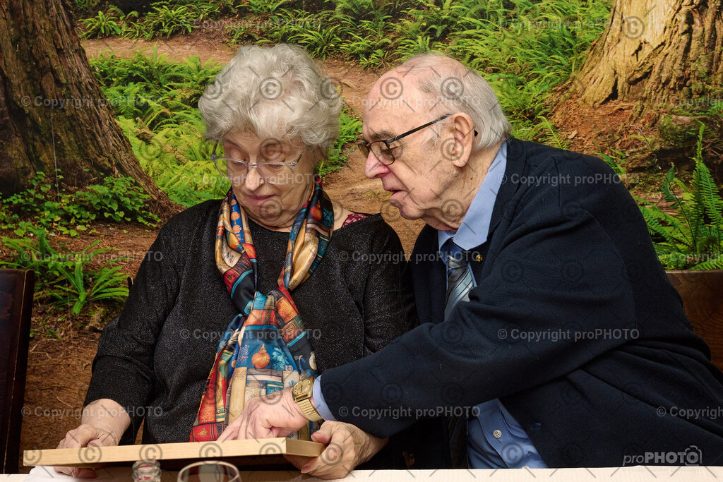 046_2026_60-Hochzeitstag-Wenzel_NZ9_6762 | proPHOTO - Realisiert mit Pictrs.com