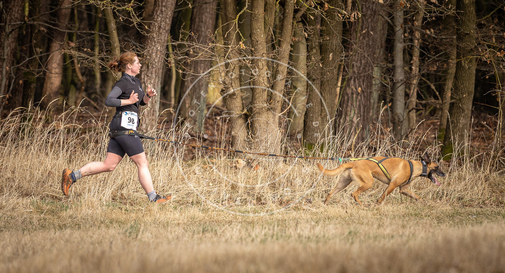 DV3A4054 | Hundefotografie, Tierfotograf, Pfotenfotografie, Fotoshooting Hund, Hunde Portrait, Hundesport, Hundeportraits, Heideshooting, Hunde, Sportfotograf, Hundefotograf, Turnierhundsport, THS,  - Realisiert mit Pictrs.com