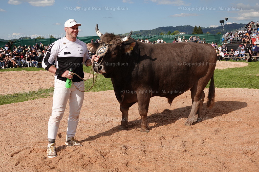 DSC01073 | Schwingen - Realisiert mit Pictrs.com