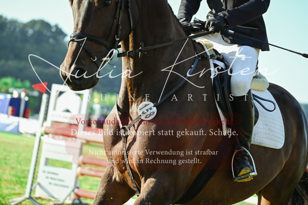 DSC_4172 | Pferde- und Turnierfotografie in Westsachsen. Pferdeportraits, Auftragszeichnungen und intuitive Kunst.