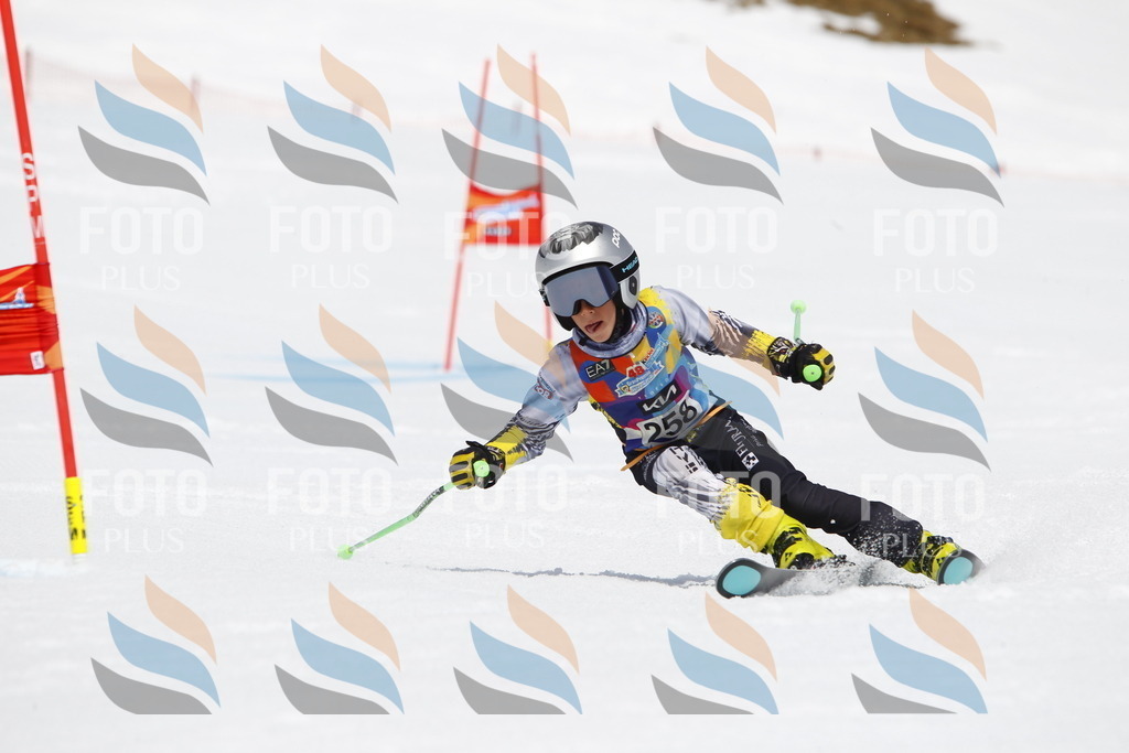 _U3G6487 | holidayphoto