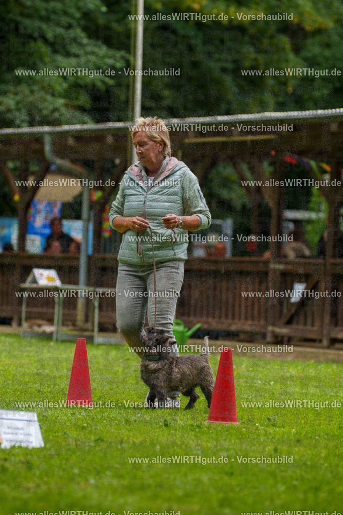 @allesWIRTHgut_Tierfotografie - www.allesWIRTHgut.de - 130211-7R509714 | Professionelle Tierfotografie in Mönchengladbach von Daniel Wirth (allesWIRTHgut). Liebevolle & natürliche Bilder von Hunden & Katzen für unvergessliche Erinnerungen.