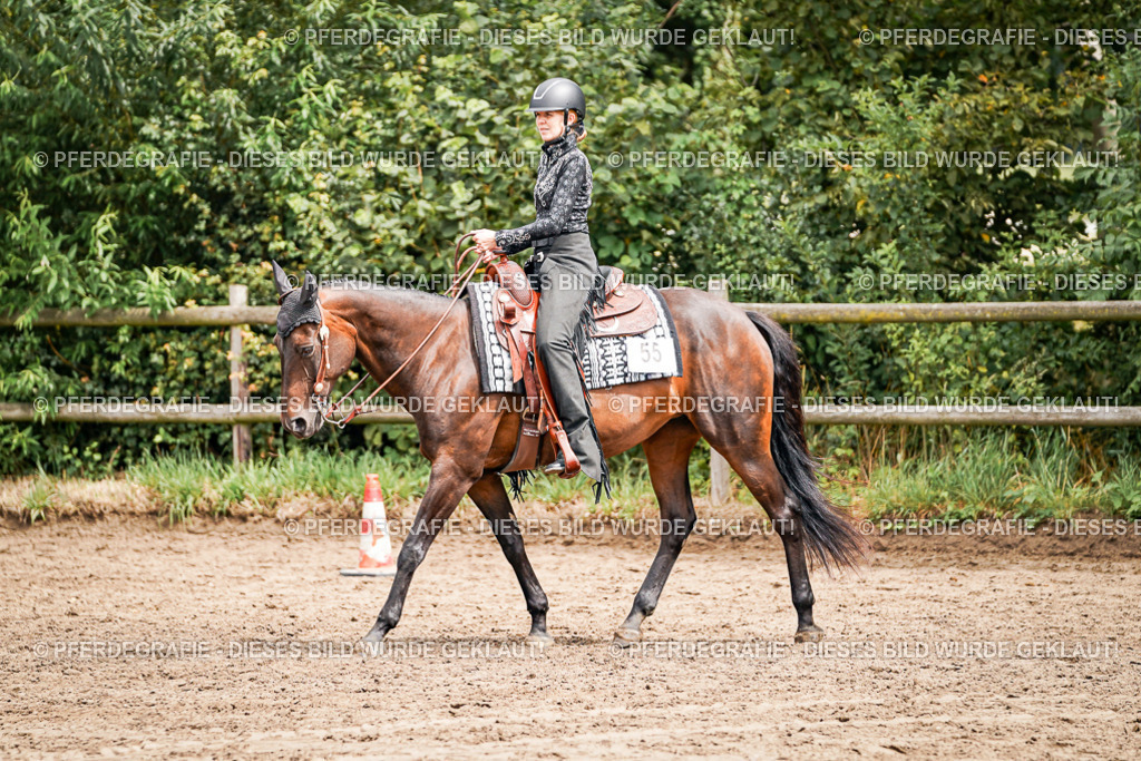 DSC04765 | Pferdegrafie