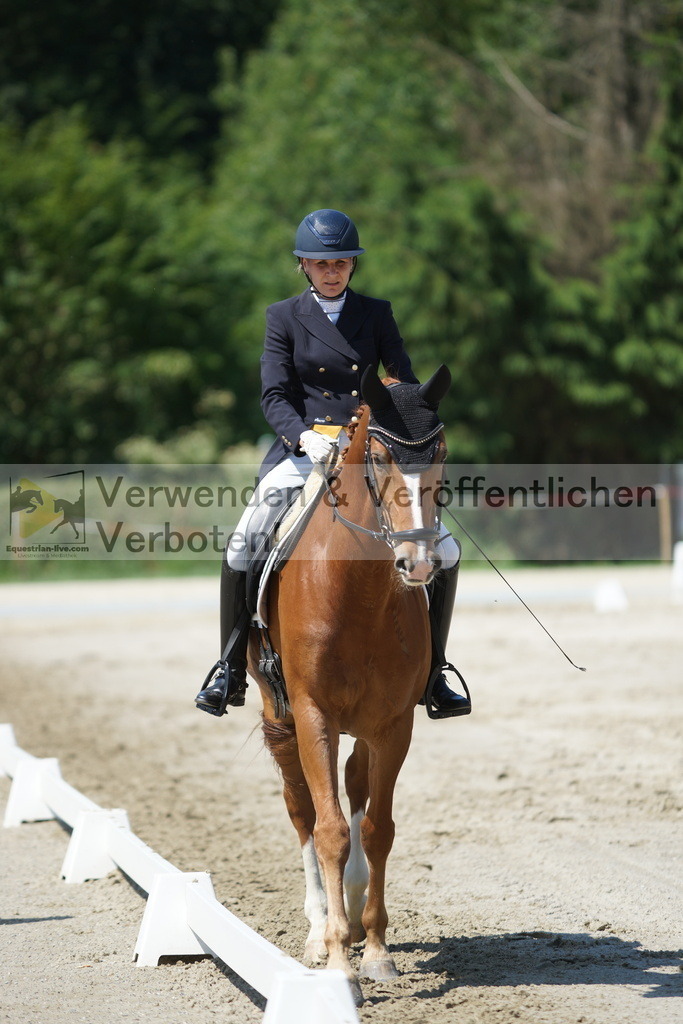 DSC03169 | equestrian-live-com