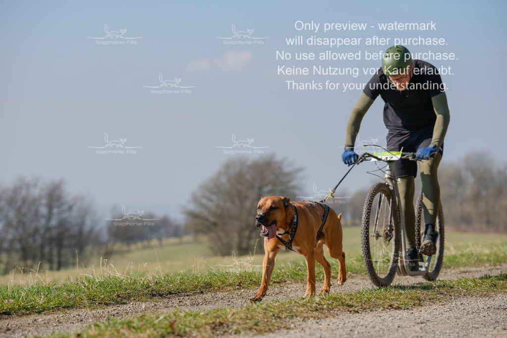 Scooter_Lang-45 | stephaniefillaphotographie - Realisiert mit Pictrs.com