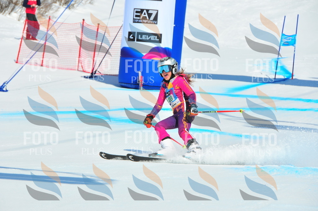 DSC_0798 | holidayphoto