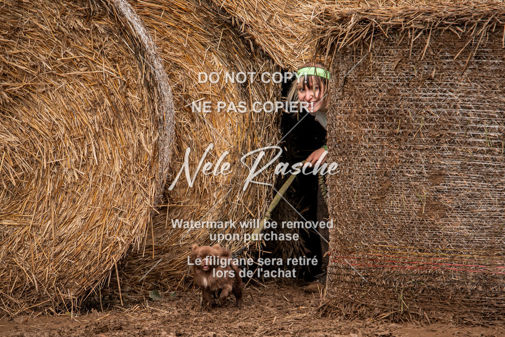 nelerasche_Hunsrück_So09-11_40 | nelerasche