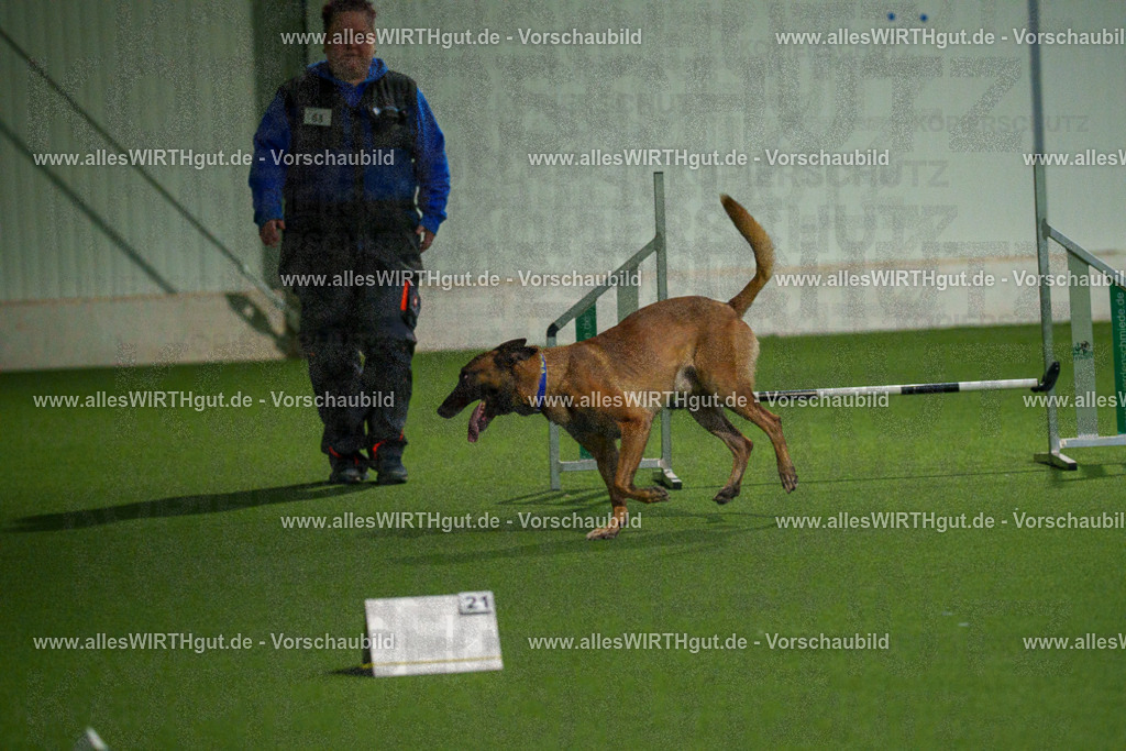 7R507505 | Professionelle Tierfotografie in Mönchengladbach von Daniel Wirth (allesWIRTHgut). Liebevolle & natürliche Bilder von Hunden & Katzen für unvergessliche Erinnerungen.