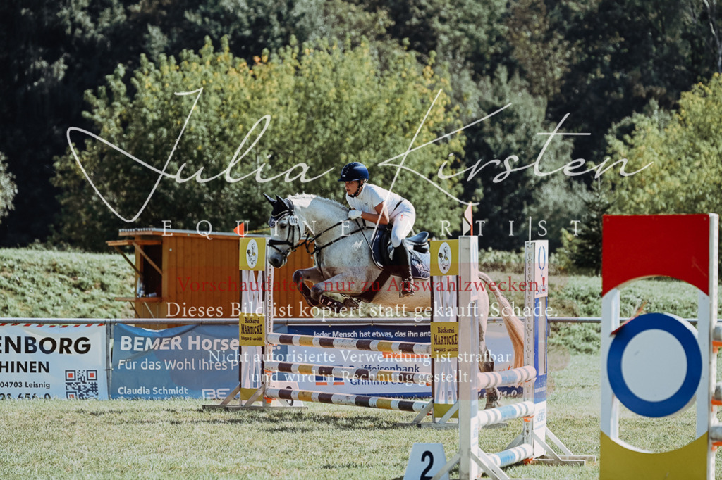 DSC_6522 | Pferde- und Turnierfotografie in Westsachsen. Pferdeportraits, Auftragszeichnungen und intuitive Kunst.