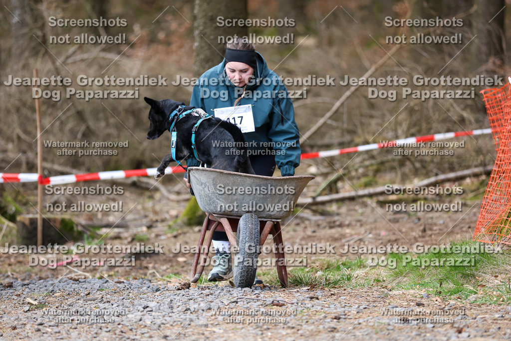 Dog Paparazzi - VCC26-839 | Dog Paparazzi Jeanette Grottendiek Fotografie & Videografie - Realisiert mit Pictrs.com
